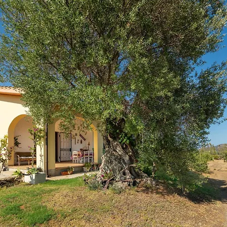 Villa Oliveto