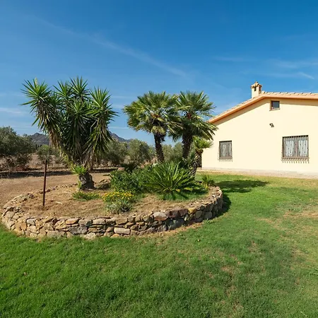 Oliveto Villa